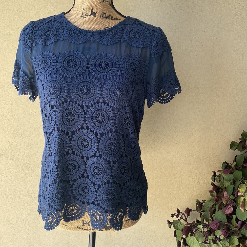 Marie Oliver top short sleeve lace top, excellent condition!